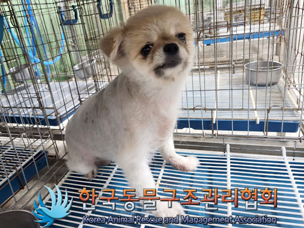 한국동물구조관리협회_411315202300475